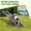 Wooden Dog Agility Seesaw (Swiship-Ship)Prohibited by WalMart