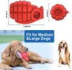 A durable and sturdy red grenade sounding toy suitable for large breeds of dogs; and a dog toy for cleaning teeth with non-toxic natural rubber