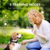 Rechargeable Training Collar w/Remote Control for Dog