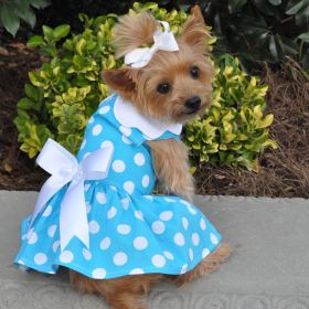 Blue Polka Dot Dog Dress with Matching Leash (Option: X-Small)