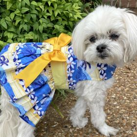 Catching Waves Dog Dress with Matching Leash (Option: X-Small)