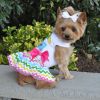 Ice Cream Cart Dress with Matching Leash