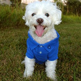 Solid Dog Polo (Option: Nautical Blue3X-Large)