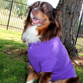 Solid Dog Polo (Option: Ultra VioletX-Large)