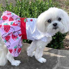 Strawberry Picnic Dog Dress with Matching Leash (Option: X-Small)