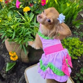 Watermelon Dog Harness Dress by Doggie Design (Option: X-Large)