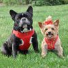 Wrap and Snap Choke Free Dog Harness by Doggie Design