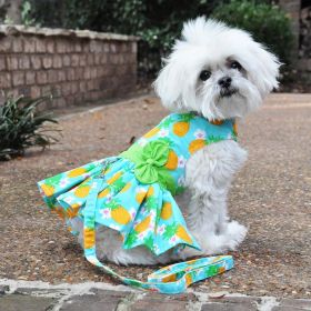 Pineapple Luau Dog Harness Dress with Matching Leash (Option: X-Large)