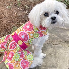 Citrus Slice Dog Dress with Matching Leash (Option: X-Large)