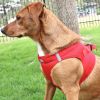 American River Solid Ultra Choke Free Dog Harness