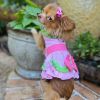 Watermelon Dog Harness Dress by Doggie Design